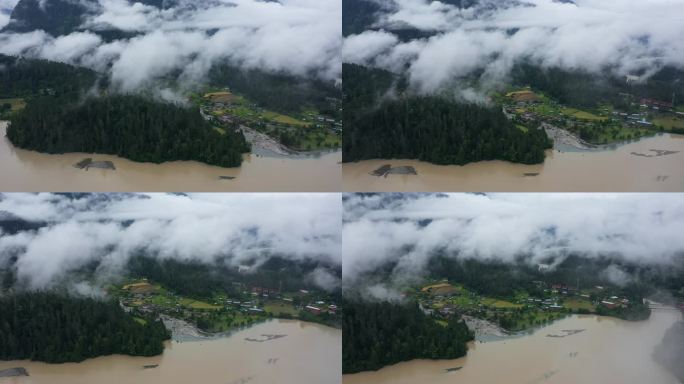 航拍雨雾天的波密岗云杉林风景