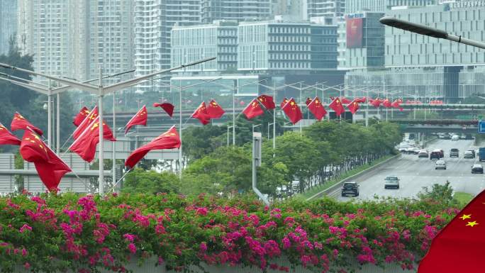 深圳沙河西路车流