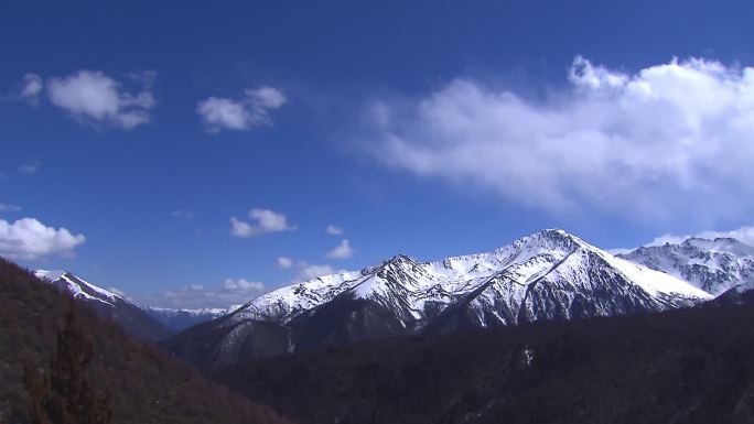 白马雪山