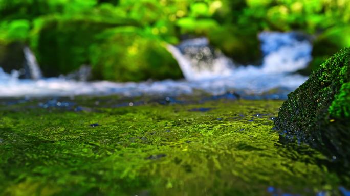 SLO MO溪流过布满苔藓的岩石