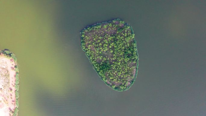 航拍曹县八里湾风景区