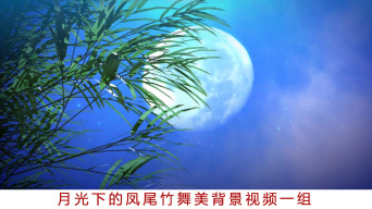 傣族舞蹈背景视频素材下载, 傣族舞蹈背景ae模板下载_光厂(vj师网)