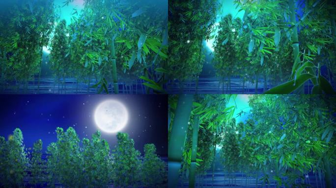 月光下的凤尾竹林舞美背景视频素材