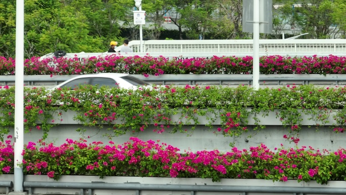 城市车流航拍