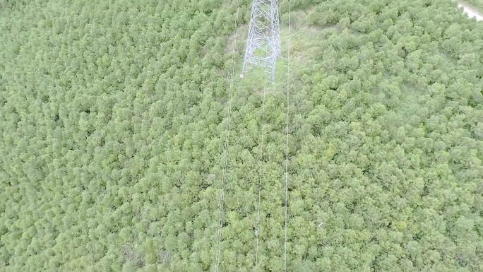 风能发站场 绿色能源 新能源 风力发电