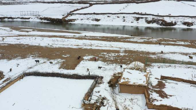 航拍川藏线上大雪覆盖的牧民村庄