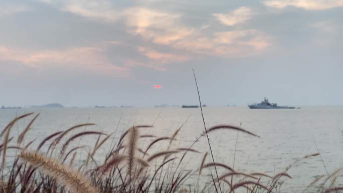 海边海岛日落、芦苇荡视频素材