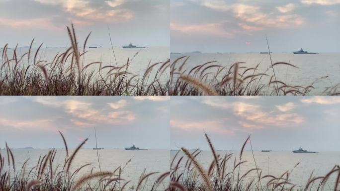 海边海岛日落、芦苇荡视频素材