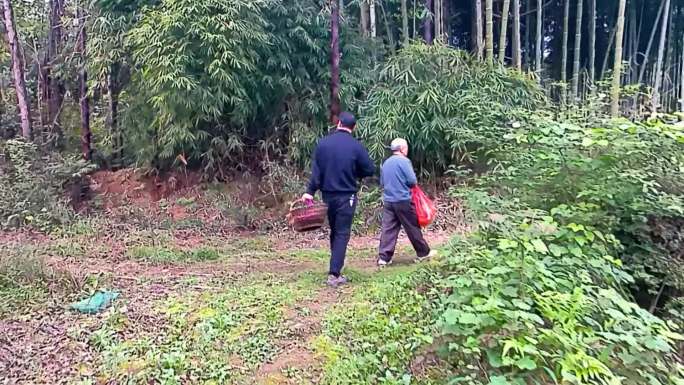 农村 山路 老人背影 爬山