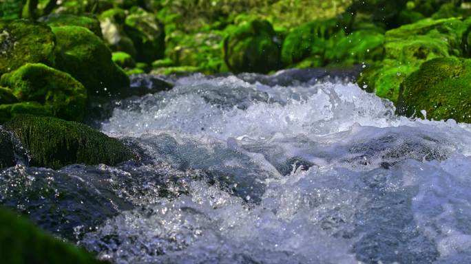SLO MO水从森林中的小瀑布上溅落