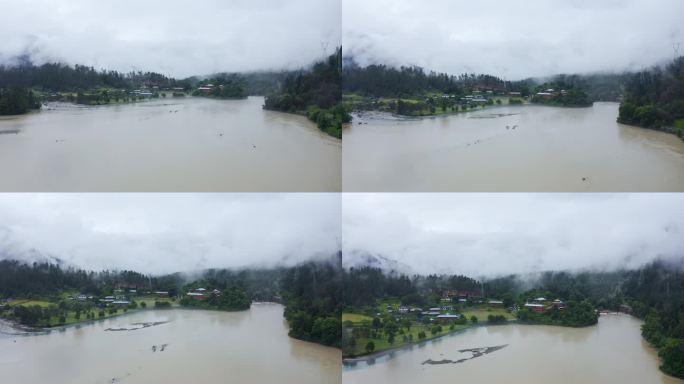 航拍雨雾天的波密岗云杉林风景