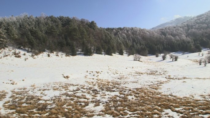 冬季的神农架高海拔地区