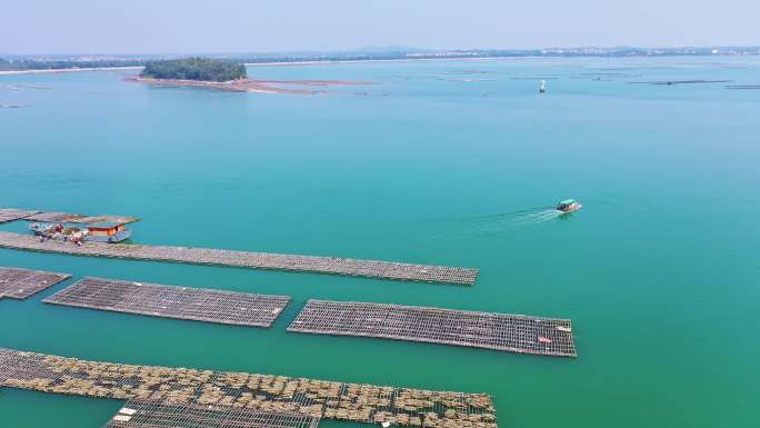 生蚝蚝排养殖场 4K航拍广西钦州茅尾海