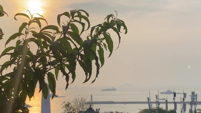 海岛日落海边日落视频素材