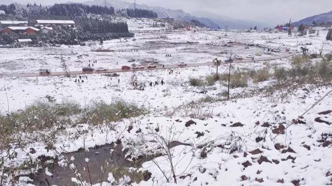 龙苍沟国家森林公园雪地景色欣赏