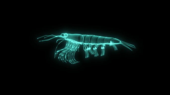 蓝色全息透明南极磷虾动画素材带通道