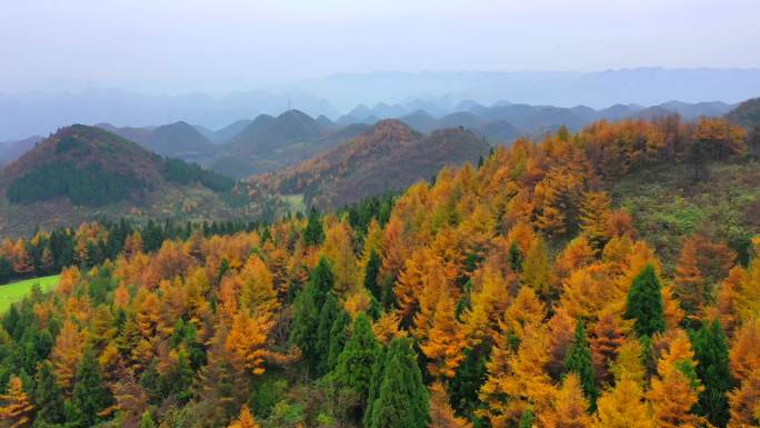 汽车行驶在秋天山路上 秋日美景