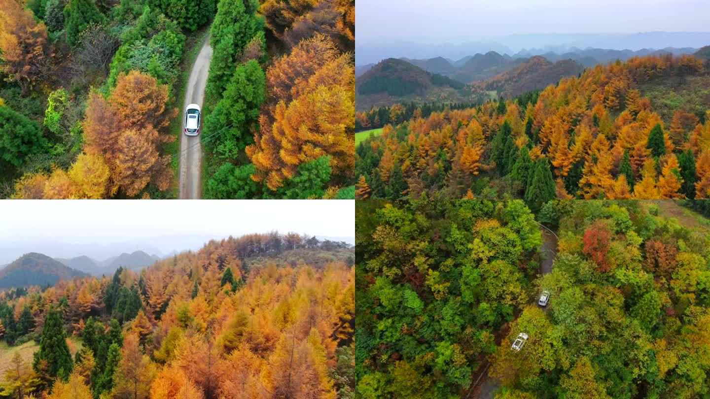 汽车行驶在秋天山路上 秋日美景