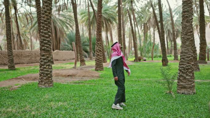 年轻的沙特男子走过椰枣树林