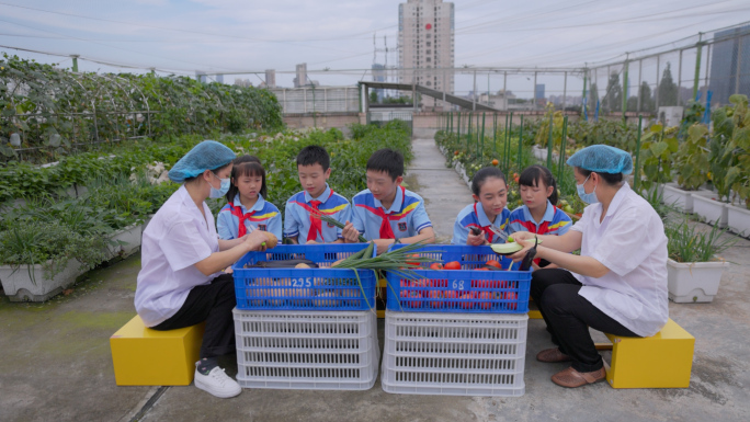 小学生菜园体验生活