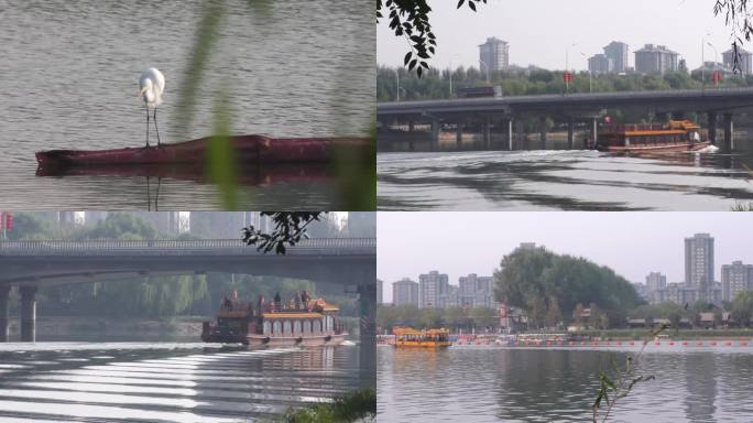 白鹭北京通州大运河漕运码水鸟游艇游人游客
