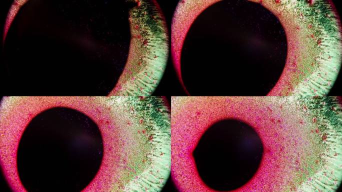 显微镜下的食品色素晶体