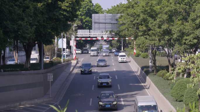 街头 车流 人流 十字路口 城市街头