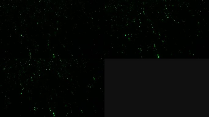 浩瀚宇宙星空星光时空萤火虫细胞细菌实拍