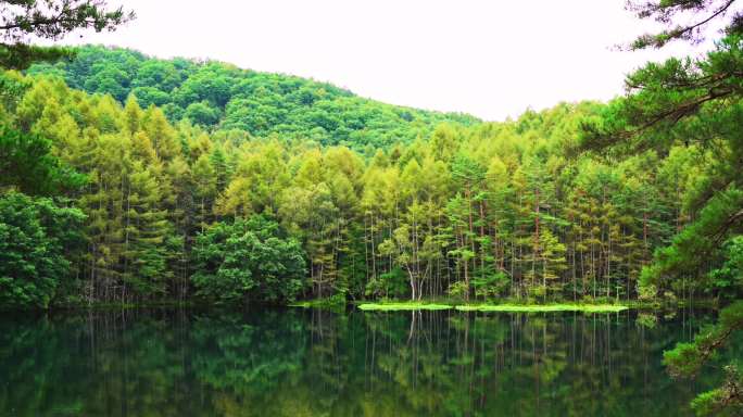 湖水美景