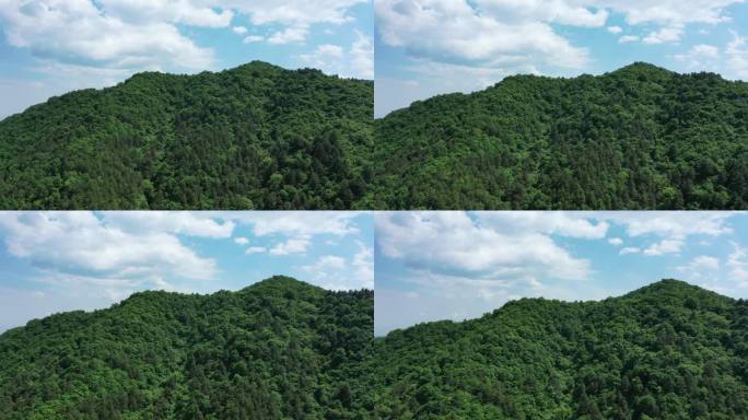 绿树森林蓝天白云生态环境宣传片头空镜