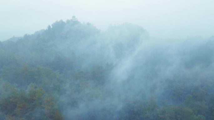 唯美森林云雾缭绕自然保护空镜青山绿水雾气
