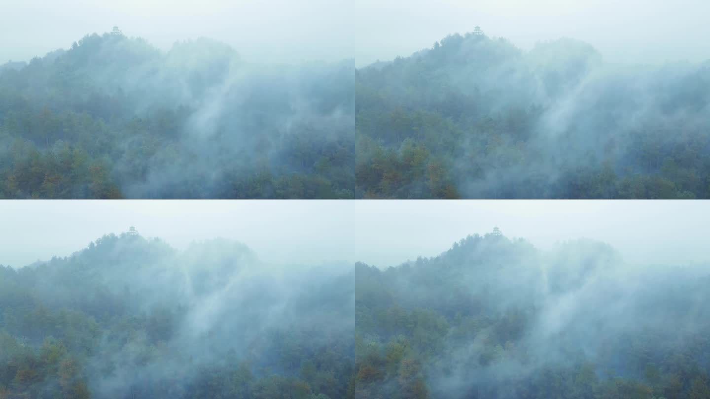 唯美森林云雾缭绕自然保护空镜青山绿水雾气