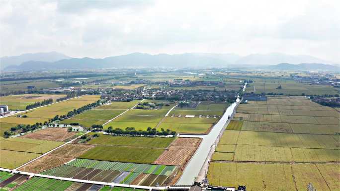 宁波姜山走马塘稻田乡村航拍4K