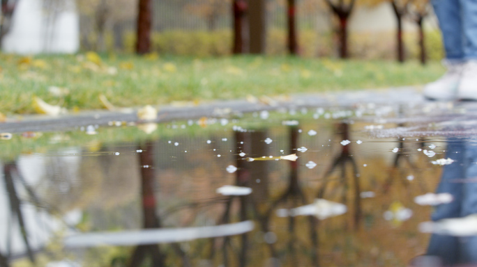 小区秋景行人，秋天雨后，居民楼