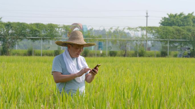 农民用手机