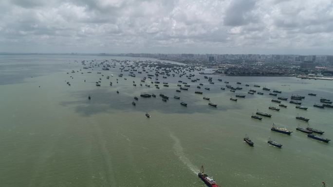 开海节 万船齐发 渔船 北海侨港 渔港