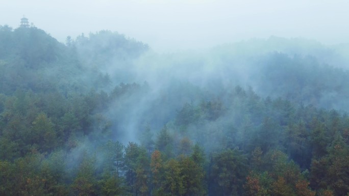 云雾森林山间雾气缭绕森林保护森林火灾