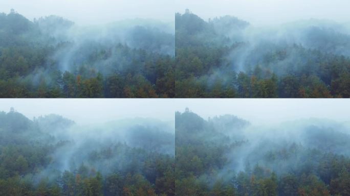 云雾森林山间雾气缭绕森林保护森林火灾