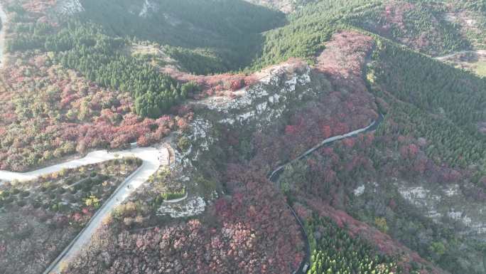 航拍济南蚰蜒山红叶