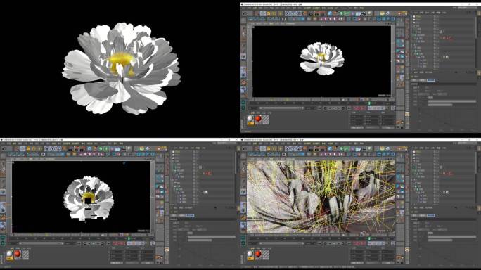 玉板白牡丹花C4D模型