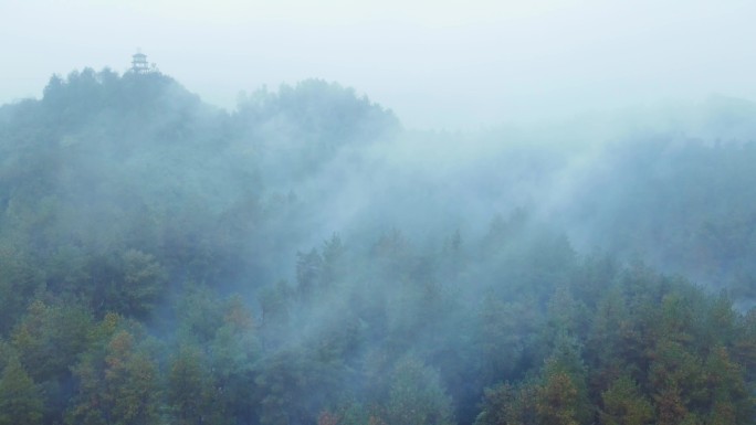 云雾森林亲近自然生态保护区森林火灾大自然