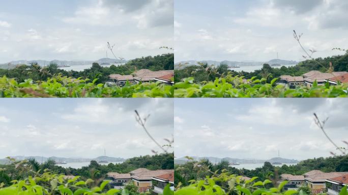 夏季厦门鼓浪屿风景