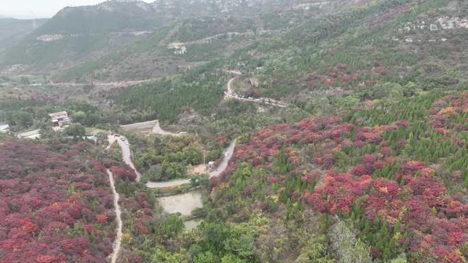 济南彩石捎近村红叶