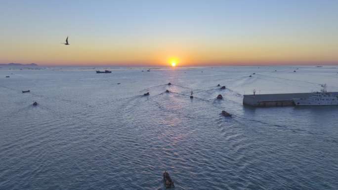 清晨大海日出渔港忙碌场景航拍