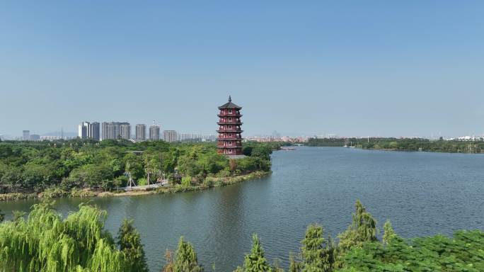 东莞麻涌华阳湖湿地公园