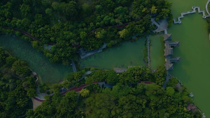 南宁狮山公园 城市绿地 中式园林航拍俯瞰