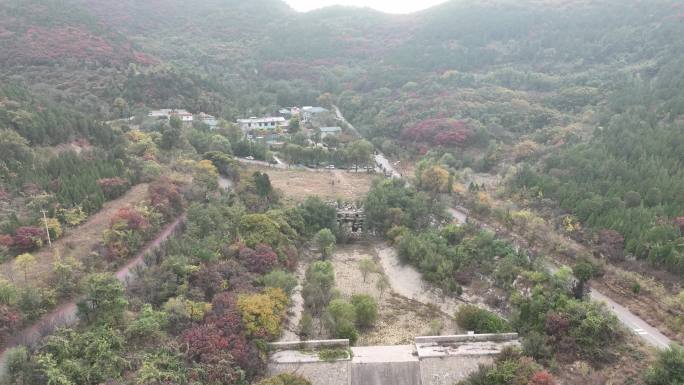 济南彩石捎近村红叶