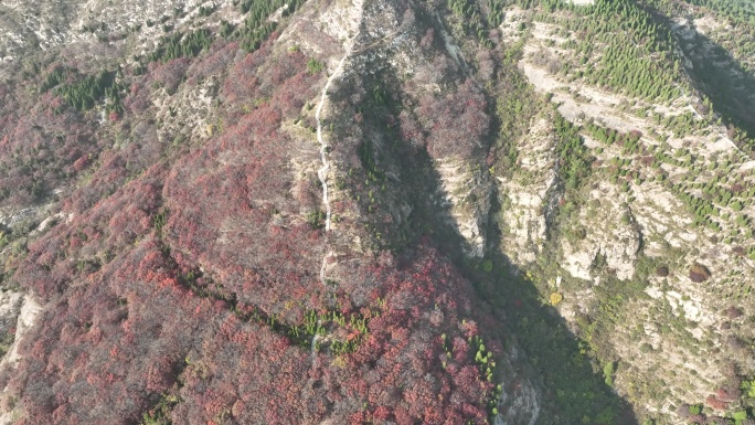 航拍济南蚰蜒山红叶