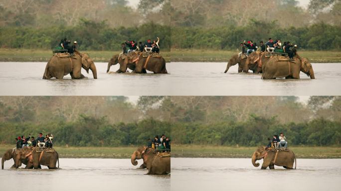 游客在印度国家公园享受大象狩猎