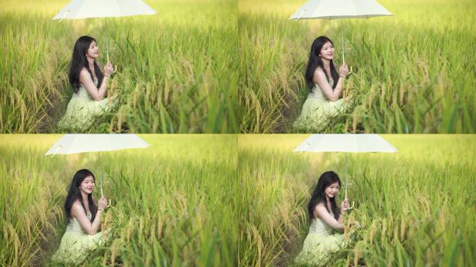 女孩在秋天的稻田里